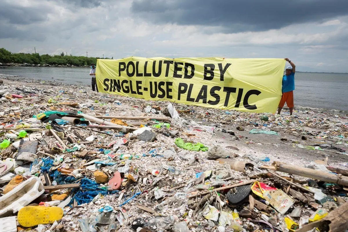 beach polluted by single-use assets